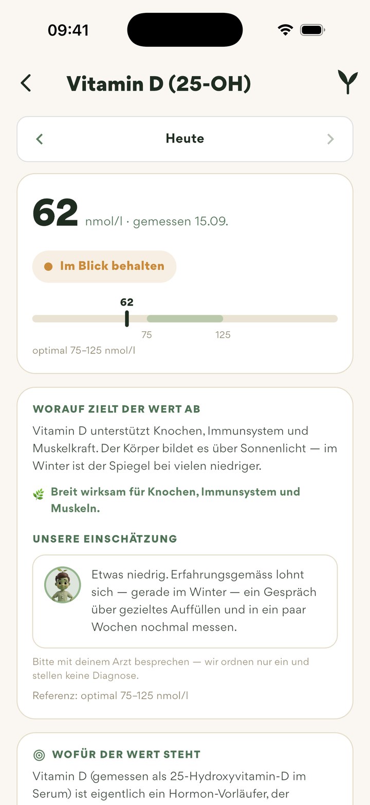 Blutwert Vitamin D: 62 nmol/l, Balken mit Bereich, Einordnung und Einschätzung