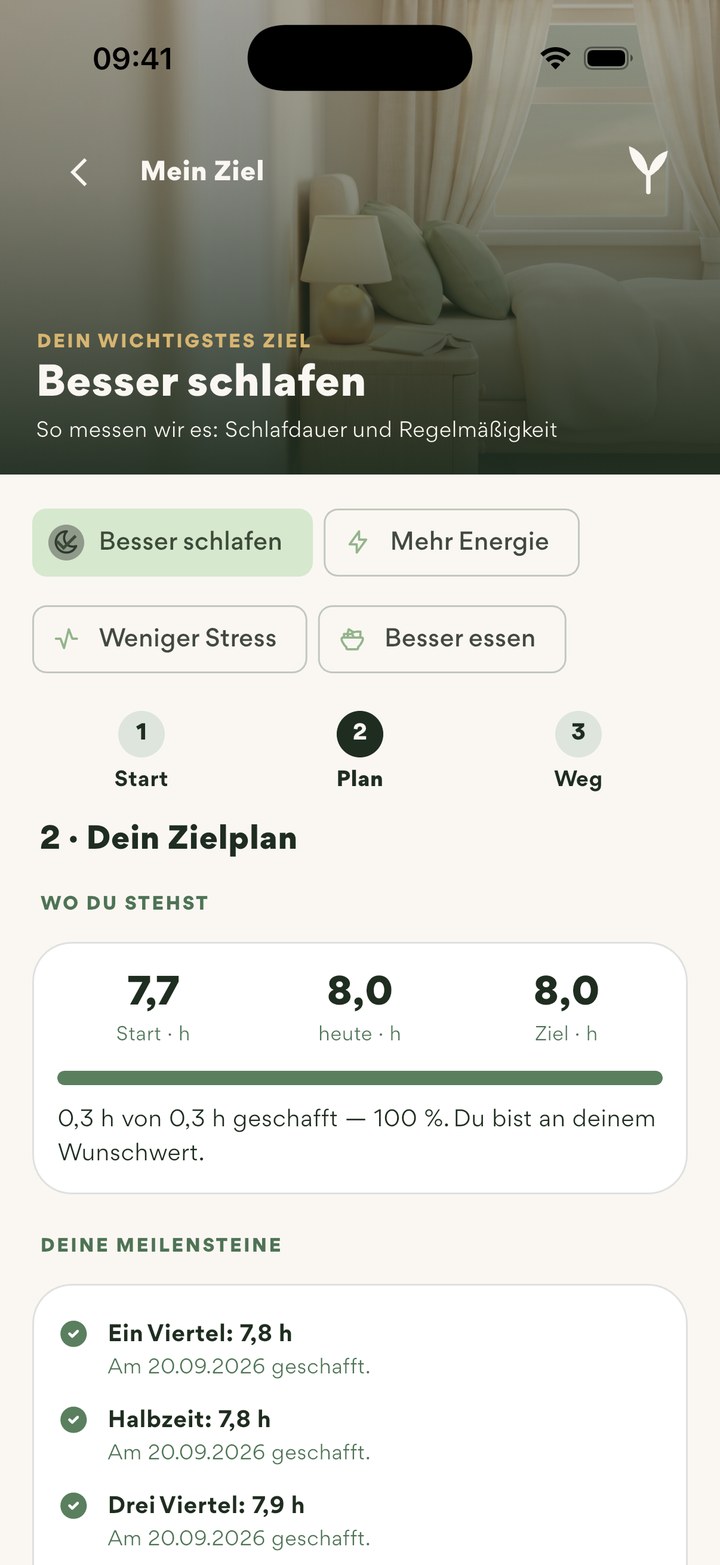 Mein Ziel, Seite 2: Zielplan mit Start, heute und Ziel, darunter die Meilensteine