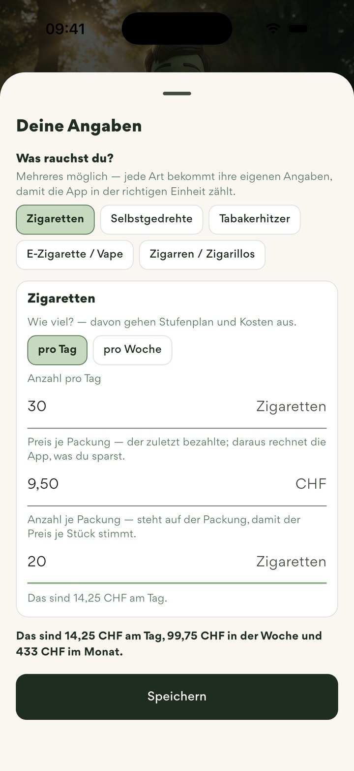 Deine Angaben: Zigaretten mit Menge und Preis je Packung, daraus die Kosten am Tag, in der Woche und im Monat